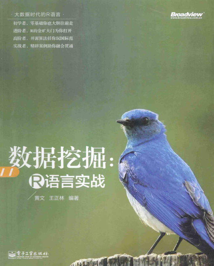 数据挖掘 R语言实战 黄文 完整版PDF_数据结构教程-小栈资源网