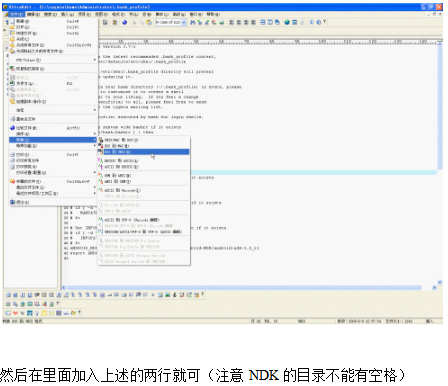 Android NDK环境搭建及遇到的问题详解 中文-小栈资源网