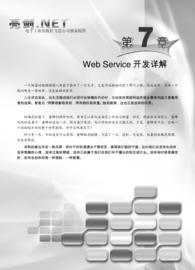 WebService开发详解 亮剑.Net_NET教程-小栈资源网