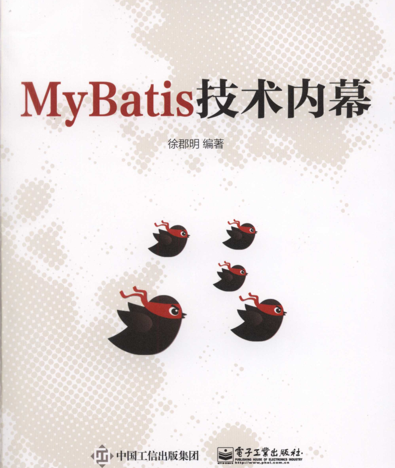 MyBatis技术内幕-小栈资源网