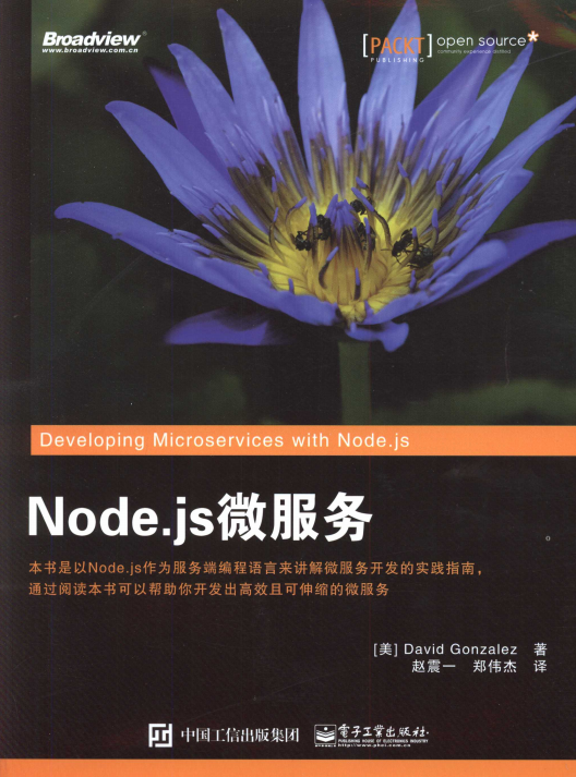 Node.js微服务 完整pdf_前端开发教程-小栈资源网
