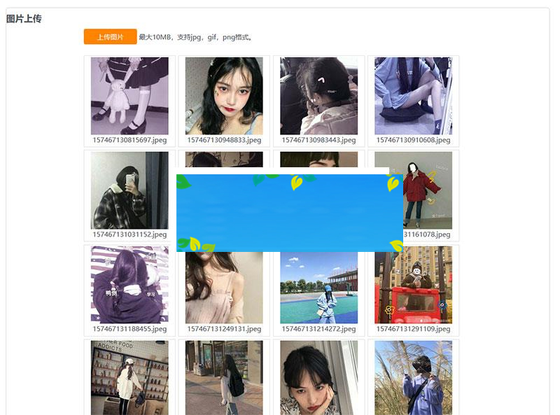 PHP京东图床外链上传+瀑布流图片展示源码_源码下载-小栈资源网