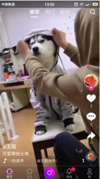【云豹二开】2021年最新云豹二开完整源码/直播/短视频/带教程/带开发文档-小栈资源网