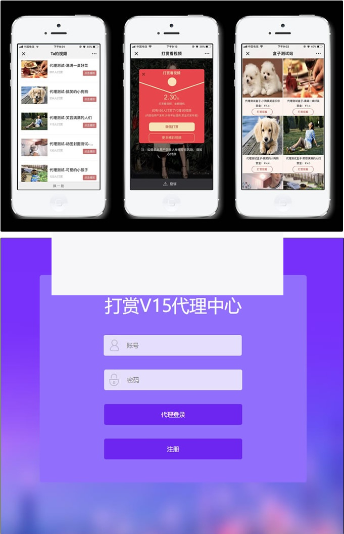 DS正版视频打赏系统V15+代理商功能+试看功能+多种免签支付接口+防封功能-小栈资源网