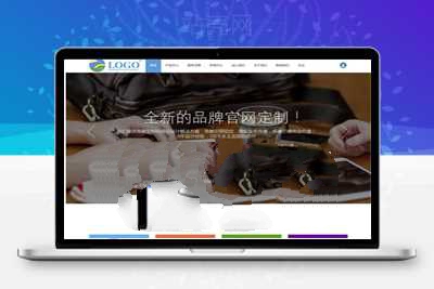 Discuz X3.2模板 高端企业公司官网 新春GBK商业版_源码下载-小栈资源网