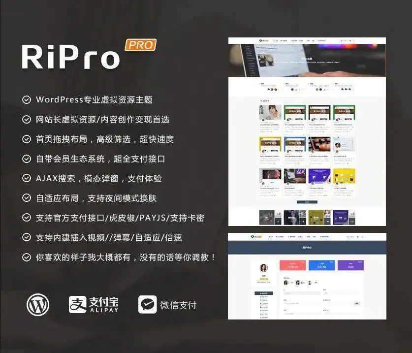 C225 wordpress主题_WordPress主题ripro8.7日主题去除授权版-小栈资源网