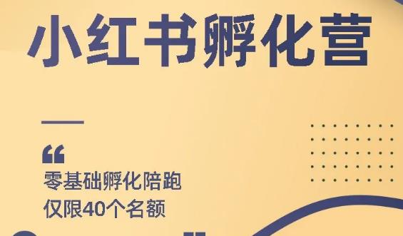 勇哥小红书撸金快速起量项目：教你如何快速起号获得曝光，做到月躺赚在3000+-小栈资源网