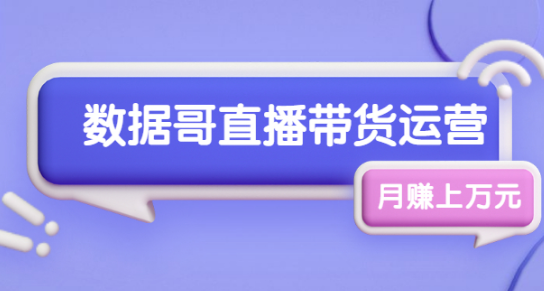 数据哥直播带货运营线上进阶课，让普通人也能靠直播月赚上万元-小栈资源网