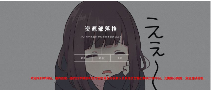 据说价值4K的第三方支付平台源码商业支付源码-ss-小栈资源网