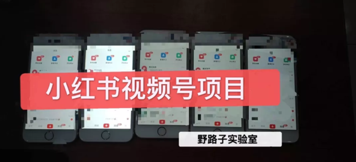 小红书直接上手操作就能赚钱的视频号项目 可长久操作-小栈资源网