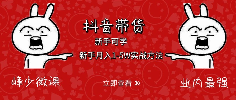 抖音带货：新手月入1-5W实战方法-小栈资源网