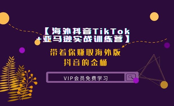 【海外抖音TikTok+亚马逊实战训练营】带着你赚取海外版抖音的金桶-小栈资源网