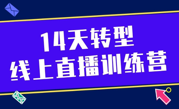 14天转型线上直播训练营-小栈资源网