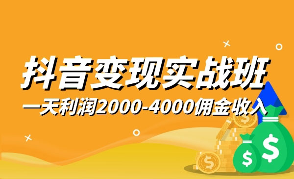 抖音变现实战班，一部手机就可以解决问题，日入3000也真的不是梦！-小栈资源网