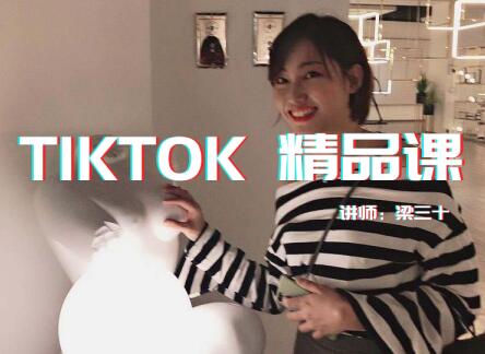 TIKTOK精品实操课_单账号最高210W粉丝-小栈资源网