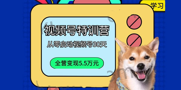 一行视频号特训营 从零启动视频号30天-小栈资源网