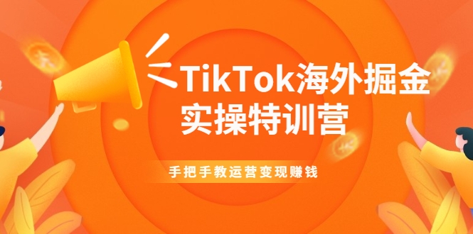 TikTok海外掘金实操特训营：手把手教运营变现赚钱-小栈资源网