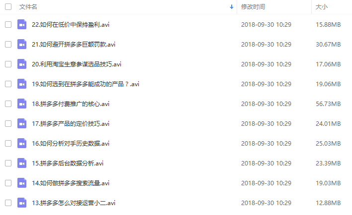 拼多多运营学习讲座火爆运营开店教程（共22课）-小栈资源网