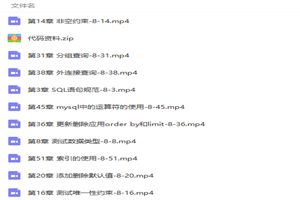 MySQL数据库项目实战视频教程-小栈资源网