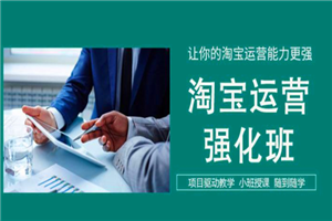 淘宝运营VIP课程合集 视频教程-小栈资源网