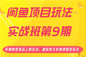 闲鱼项目玩法实操教程 教您选品上虚拟类与实物类裂变玩法-小栈资源网