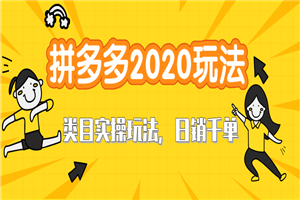 拼多多2020最新类目实操玩法教程 玩转直通车轻松操作到日销千单爆款-小栈资源网
