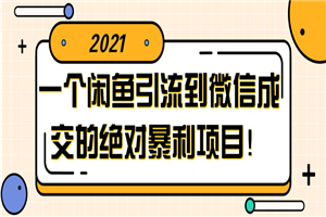 一个闲鱼引流到微信成交的绝对暴利项目！【视频教程】-小栈资源网