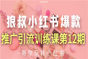 狼叔小红书爆款推广引流训练课第12期 手把手带你玩转小红书(无水印)-小栈资源网