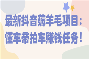 最新抖音薅羊毛项目：懂车帝拍车赚钱任务！【视频教程】-小栈资源网