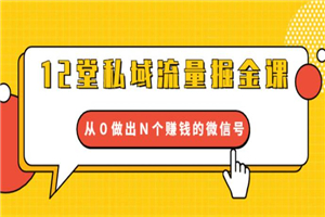 12堂私域流量掘金课：从0做出N个赚钱的微信号【完结】-小栈资源网