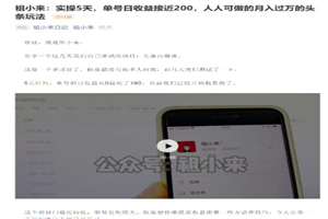 祖小来：实操5天，单号日收益接近200，人人可做的月入过万的头条赚钱玩法-小栈资源网