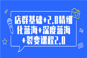 孤狼电商店群全套教程：店群基础+2.0精细化蓝海+深度蓝海+裂变课程2.0-小栈资源网