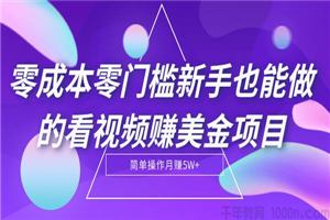 零成本零门槛新手也能做的看视频赚美金项目-小栈资源网