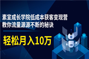 素宣成长学院低成本获客变现营，教你流量源源不断的秘诀，轻松月入10万-小栈资源网