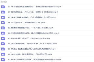 张磊21堂副业培训课：让小白学会副业赚钱，通俗易懂简单易上手-小栈资源网