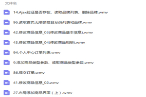 大型商城开发视频教程全程实录-小栈资源网