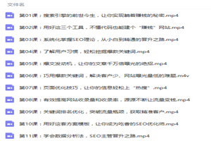 零基础学SEO引爆流量躺赚 SEO视频教程-小栈资源网