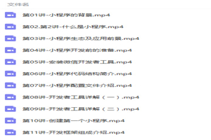 微信小程序开发零基础入门到精通项目实战视频教程-小栈资源网