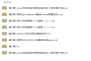 Netty/Springboot打造高性能微信聊天应用项目实战视频教程-小栈资源网