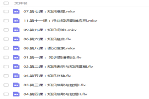 人工智能知识图谱从基础理论到项目案例实战视频教程-小栈资源网