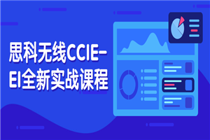 思科无线CCIE-EI全新实战课程-小栈资源网