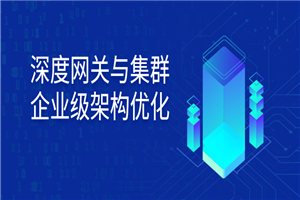 深度网关与集群企业级架构优化-小栈资源网