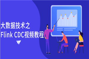 大数据技术之Flink CDC视频教程-小栈资源网