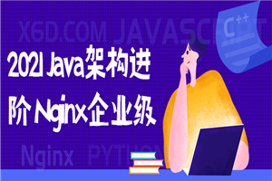 2021 Java架构进阶 Nginx企业级-小栈资源网