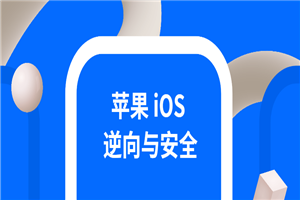 iOS逆向与安全 掌握分析技巧-小栈资源网