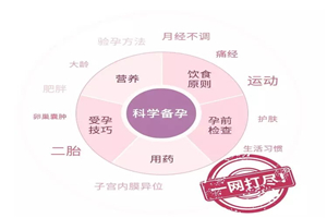 协和专家的科学备孕攻略-小栈资源网