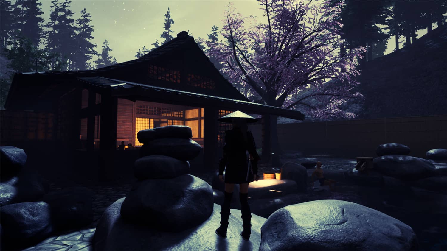 忍者傳：三好家的隕落/忍者传：三好家的陨落/Tale of Ninja: Fall of the Miyoshi-小栈资源网