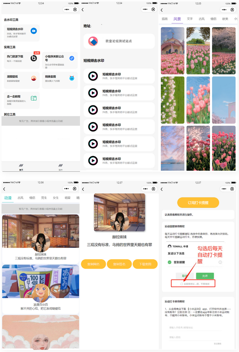 多接口带头像挂件制作短视频去水印微信小程序源码-小栈资源网