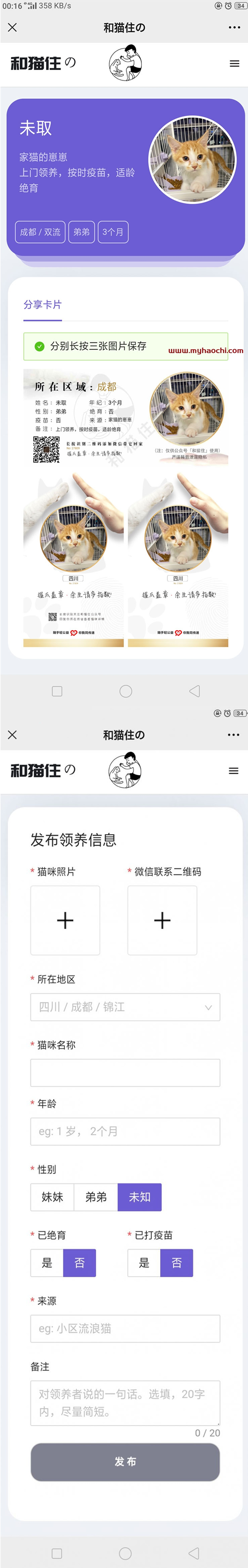 流浪猫流浪狗发布H5源码下载 带演示-小栈资源网