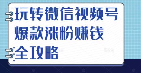 玩转微信视频号爆款涨粉赚钱全攻略，让你快速抓住流量风口，收获红利财富-小栈资源网